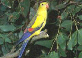 Lake Hindmarsh Reserve - Accommodation BNB 0