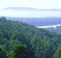 Kalorama Park - Accommodation BNB