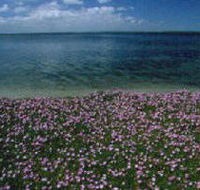 The Lakes National Park - Accommodation BNB