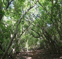 Eucalypt Trail - Accommodation BNB