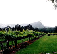 Cambewarra Estate Wines - Accommodation BNB
