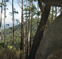Gulaga National Park - Accommodation BNB