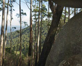 Gulaga National Park - Accommodation BNB 0