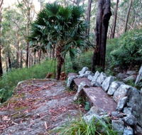 Wodi Wodi Walking Track - Accommodation BNB