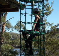 Trees Adventure Shoalhaven - Accommodation BNB