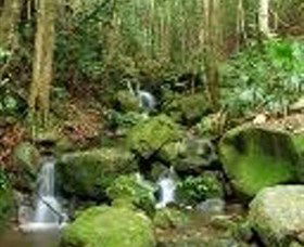 Budderoo National Park - Accommodation BNB 0