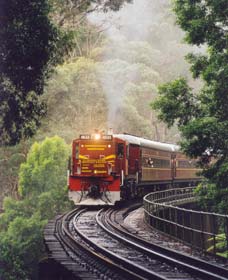 Cockatoo Run - Scenic Tour Train Operated By 3801 Limited - Accommodation BNB 0