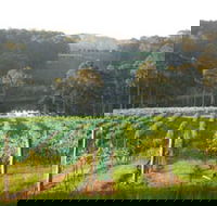 Tilba Valley Wines - Accommodation BNB