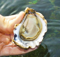 The Oyster Pot - Accommodation BNB