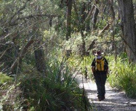 Barren Grounds Nature Reserve - Accommodation BNB 0