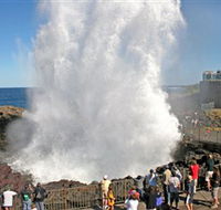 Kiama Blowhole - Accommodation BNB