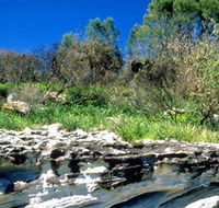 Abrahams Bosom Reserve - Accommodation BNB