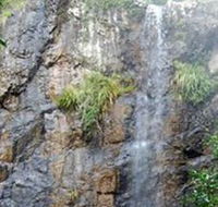 Wedding Bells Forest Drive - Accommodation BNB