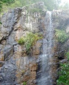 Wedding Bells Forest Drive - Accommodation BNB 0
