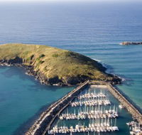 Muttonbird Island Nature Reserve - Accommodation BNB