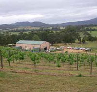 Villa d Esta Vineyard - Accommodation BNB