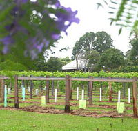 Douglas Vale Historic Homestead  Vineyard - Accommodation BNB