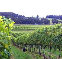 Banjo's Run Winery and Vineyard - Accommodation BNB