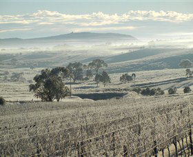 Kurrajong Downs Wines Vineyard - Accommodation BNB 1