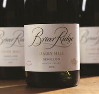 Briar Ridge Vineyard - Accommodation BNB
