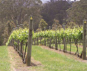 Diamond Creek Estate Cellar Door - Accommodation BNB 2
