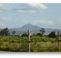 Ironbark Ridge Vineyard - Accommodation BNB