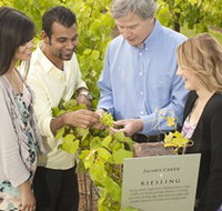 Jacob's Creek Vineyard Tour - Accommodation BNB