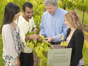 Jacob's Creek Vineyard Tour - Accommodation BNB 0