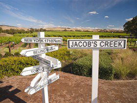 Jacob's Creek Vineyard Tour - Accommodation BNB 1