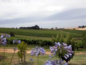 Mount Jagged Wines - Accommodation BNB 1
