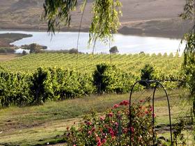 Mount Jagged Wines - Accommodation BNB 2