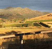 Optimiste Wines - Accommodation BNB