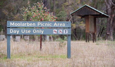Moolarben Picnic Area - Accommodation BNB 1