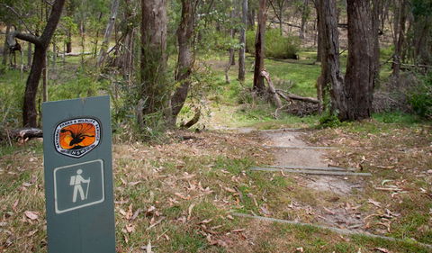 Moolarben Picnic Area - Accommodation BNB 0