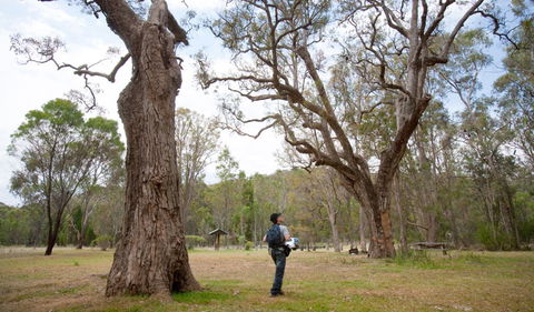 Moolarben Picnic Area - Accommodation BNB 2