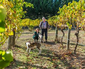 Crystal Creek VIC Accommodation BNB