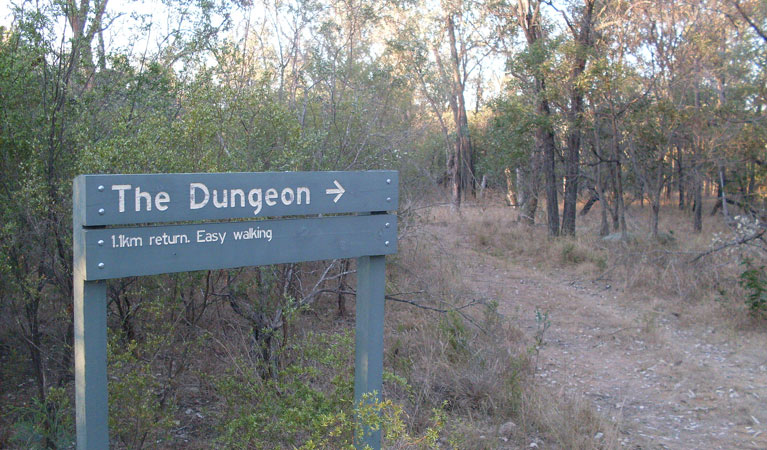 Ashford NSW Accommodation BNB