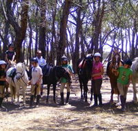 Bellarine Horse Riding Centre - Accommodation BNB