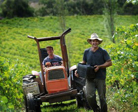 Kellybrook Winery, Kelly Brothers Cider & Riders Brew Co. - Accommodation BNB 0