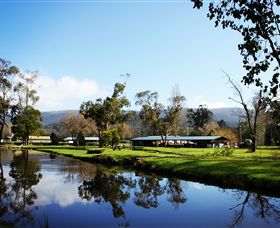 Buxton Trout & Salmon Farm - Accommodation BNB 0