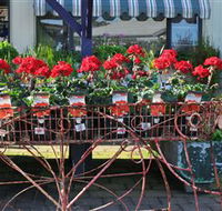 Van Loon's Nursery - Accommodation BNB