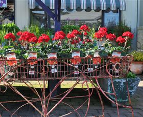 Van Loon's Nursery - Accommodation BNB 0