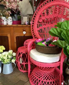 Van Loon's Nursery - Accommodation BNB 3
