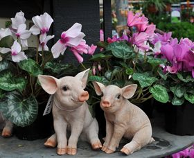 Van Loon's Nursery - Accommodation BNB 2