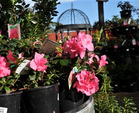 Van Loon's Nursery - Accommodation BNB 1