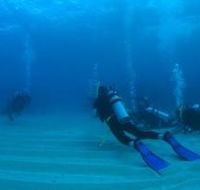 Man and Wife Rocks Dive Site - Accommodation BNB