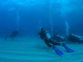 Man And Wife Rocks Dive Site - Accommodation BNB 0