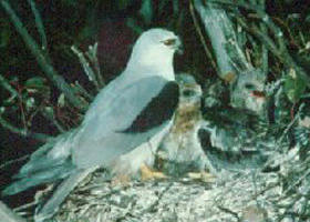 Bushy Park Wetlands - Accommodation BNB 0
