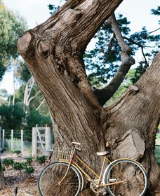Kiltynane Wines - Accommodation BNB 8