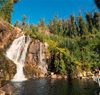 Steavenson Falls Marysville - Accommodation BNB